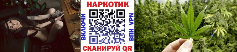 Сколько стоит Заводоуковск Cocaine  Меф мяу мяу  hydra сайт  Канабис  Альфа ПВП  Псилоцибиновые грибы 
