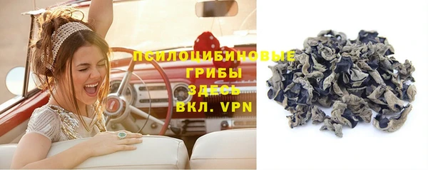 стаф Абинск