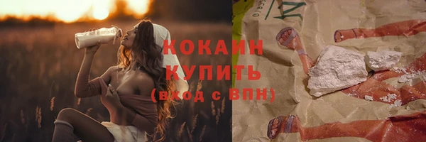 стаф Абинск