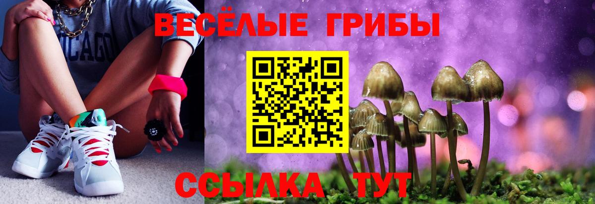 Псилоцибиновые грибы прущие грибы  Вход с VPN  Заводоуковск 